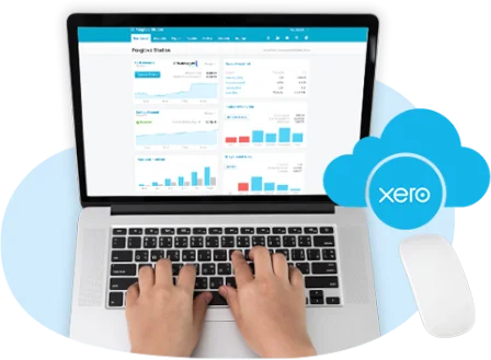 Make Everyday Business Tasks Easier with Xero Accounting Services