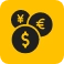 Support for Multiple Currencies and Entities Icon